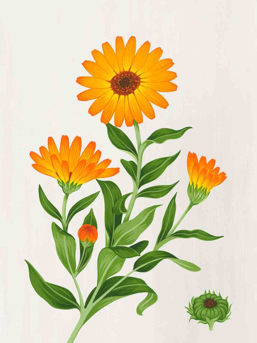 Artist Interview with Charlotte Day